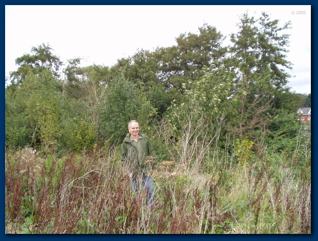 600x449 pixels (178K)